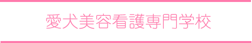 愛犬美容看護専門学校