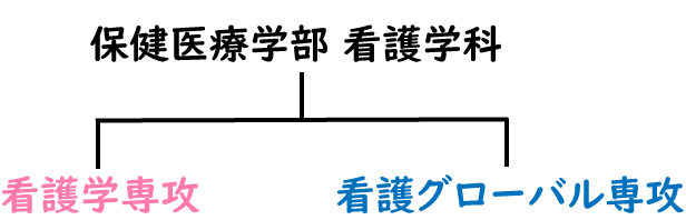 保健医療学部 看護学科看護学専攻と看護グローバル専攻
