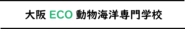 大阪ECO動物海洋専門学校